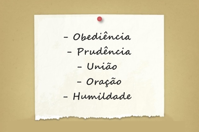 5 Palavras